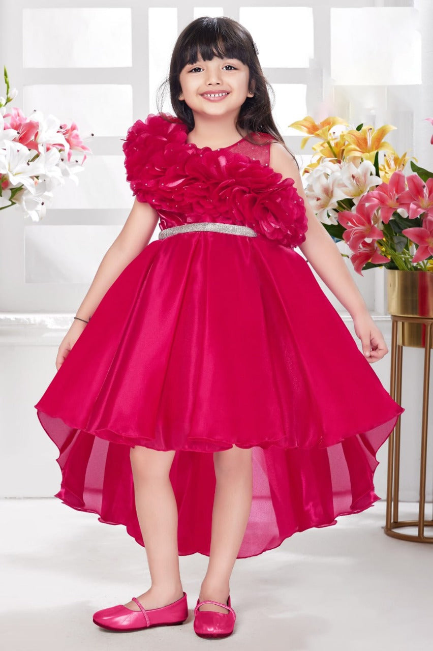 Kids Red Floral Applique Party Wear